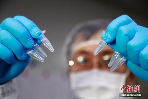 顯微鏡下的新型冠狀病毒 驚人繁衍與生物技術(shù)應(yīng)對